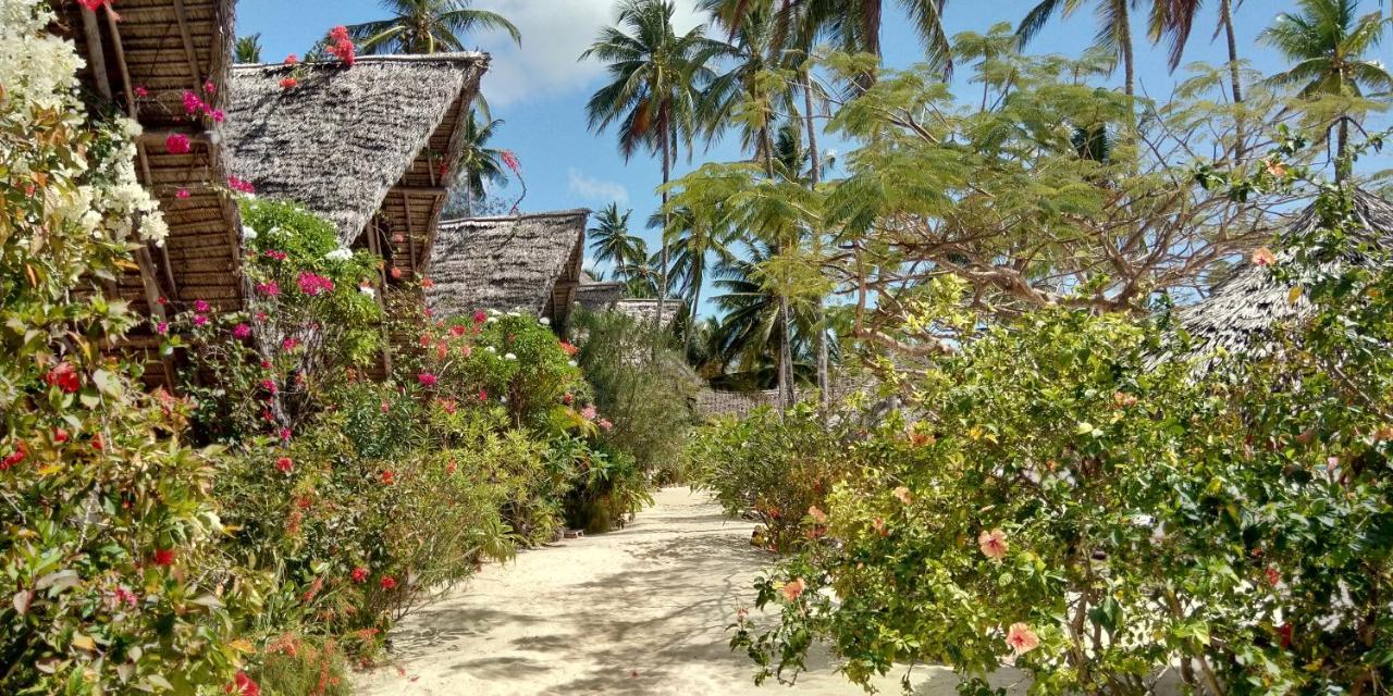 Belvedere Resort Jambiani  Exterior photo